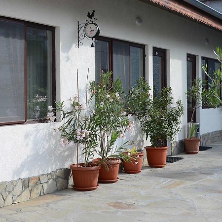 Guest House Dar Tryavna Exterior foto