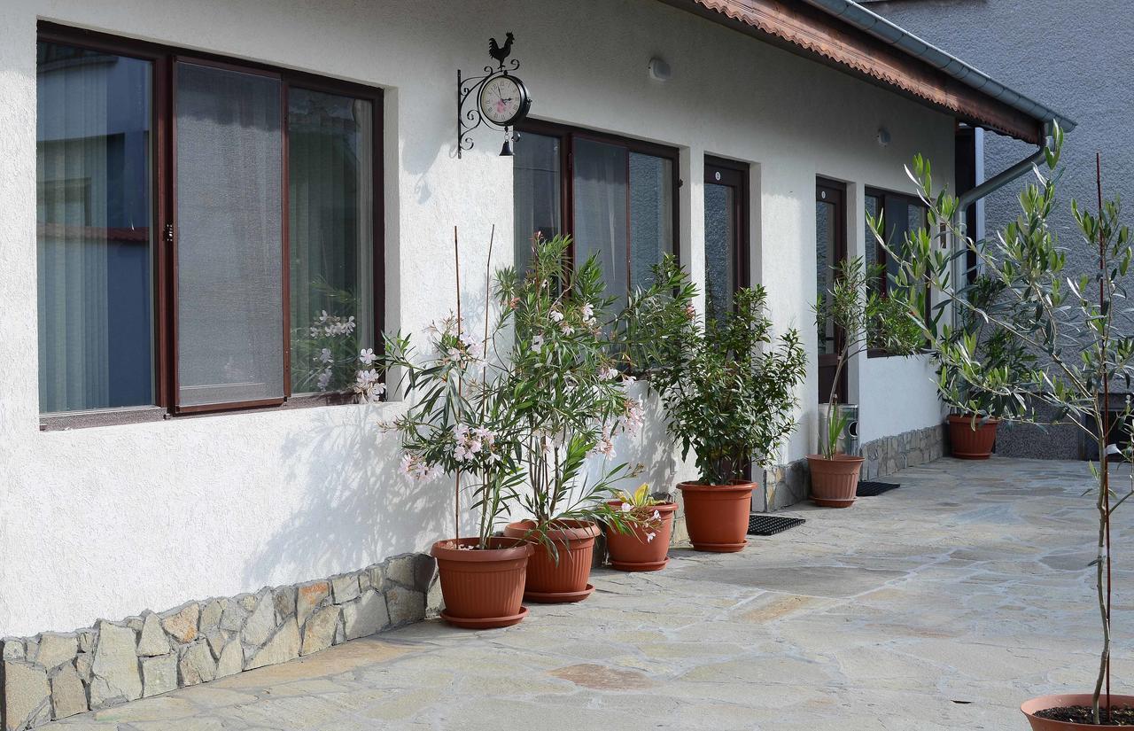Guest House Dar Tryavna Exterior foto